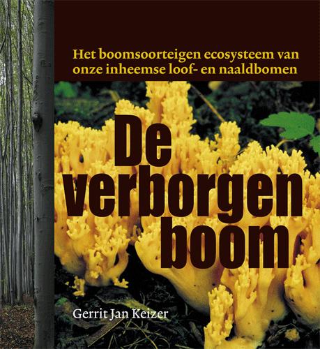 Boek "De verborgen boom"