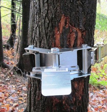 Support d’ancrage de treuil pour arbres Portable Winch
