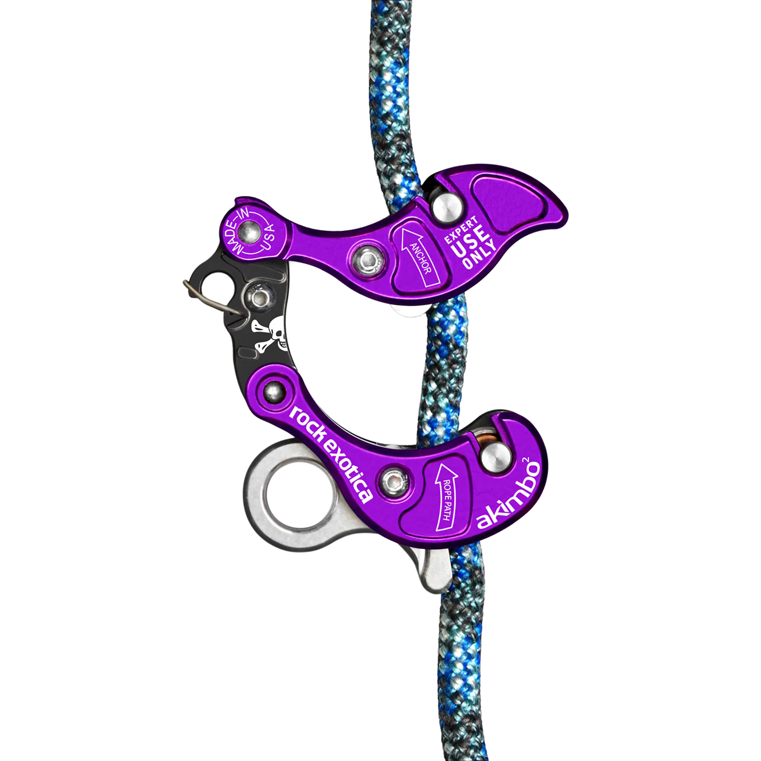 Lijnklem Rock Exotica Akimbo 2 