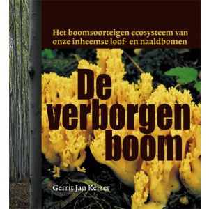 Boek "De verborgen boom"