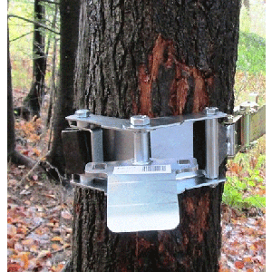Support d'ancrage de treuil pour arbres Portable Winch